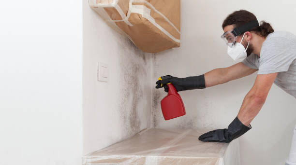 Professional Bathroom Mold Removal technician working in Victoria, MN